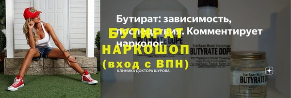 индика Билибино