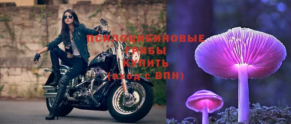 соль ск Корсаков