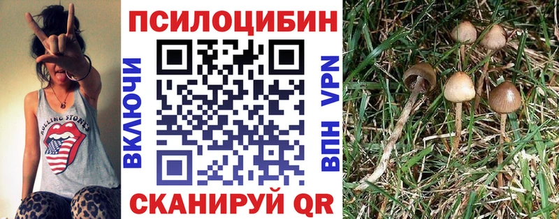наркотики  Лосино-Петровский  Галлюциногенные грибы Psilocybine cubensis 