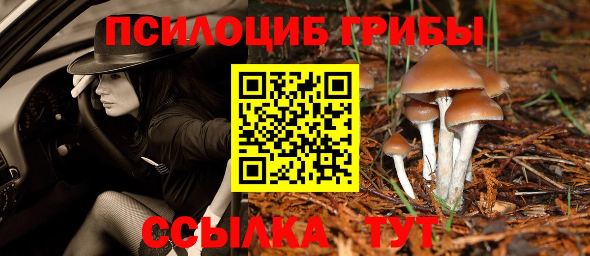 Лосино-Петровский  Псилоцибиновые грибы Psilocybine cubensis  Галлюциногенные грибы прущие грибы  Вход с VPN 